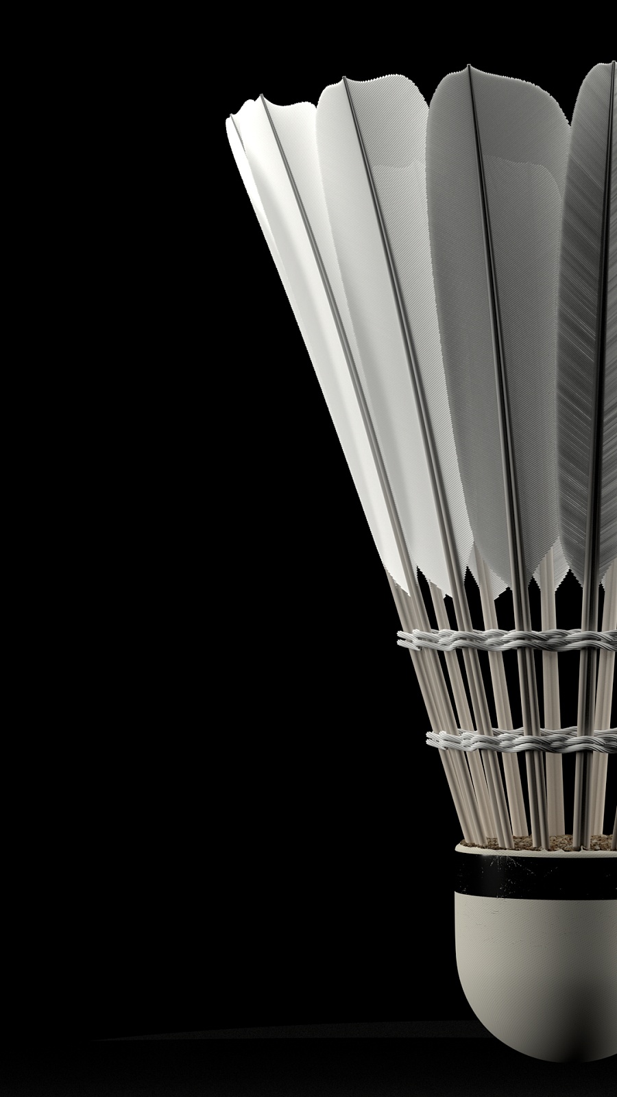 维尼修斯斩 维尼修斯斩